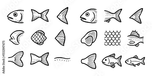 Fish Anatomy Icons