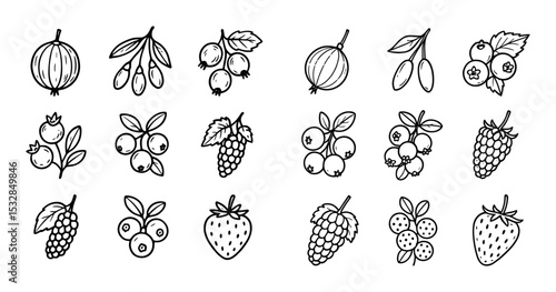 Berry Sketch Icons Grid