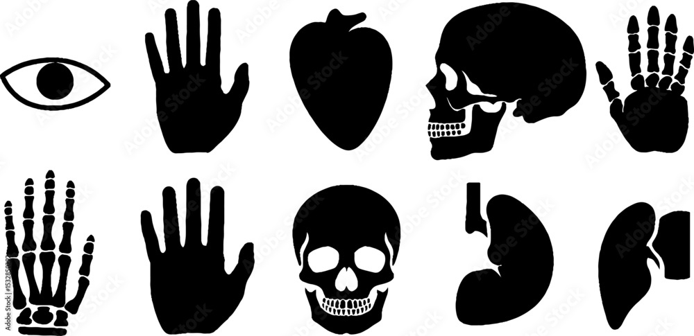 Anatomical silhouettes featuring hands, feet, eyes, ears, noses, and human skeleton elements Anatomical silhouettes featuring hands, feet, eyes, ears, noses, and human skeleton elements