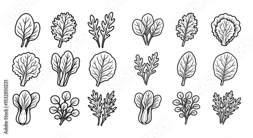 Leafy Greens Icons