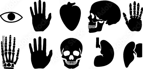 Anatomical silhouettes featuring hands, feet, eyes, ears, noses, and human skeleton elements