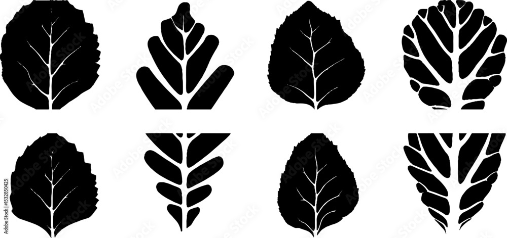 Obraz premium High contrast black leaf vein pattern set for design and print