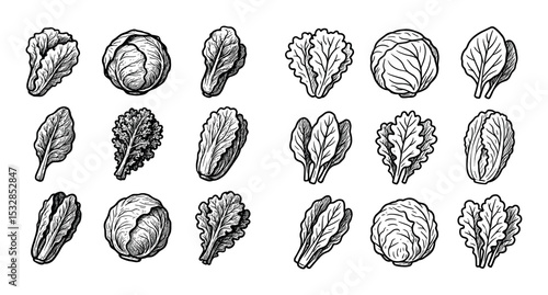 Leafy Wrap Icons Grid
