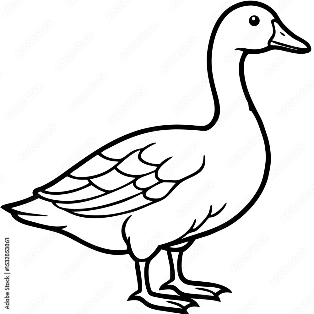 Elegant Snow Goose Vector in Monochrome Elegant Snow Goose Vector in Monochrome