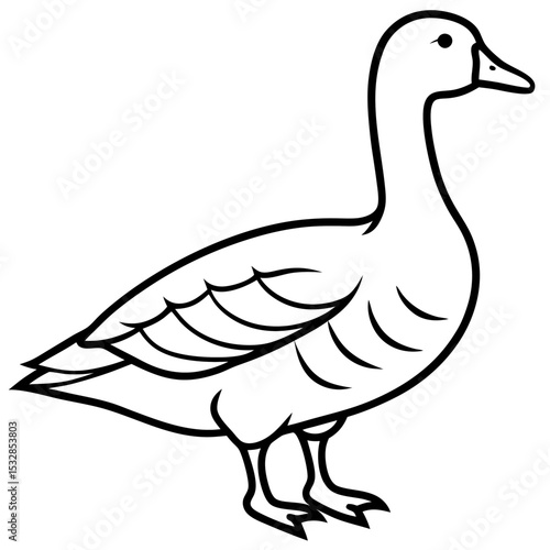 Elegant Snow Goose Vector in Monochrome