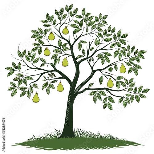 A lush green pear tree with ripe fruit
