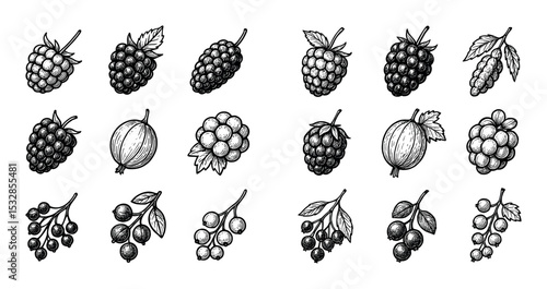 Berry Icon Collection