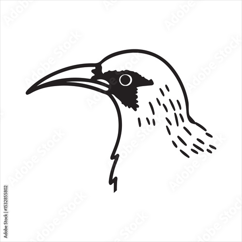 Red-legged Honeycreeper Bird – Colorful Rainforest Species from the Americas