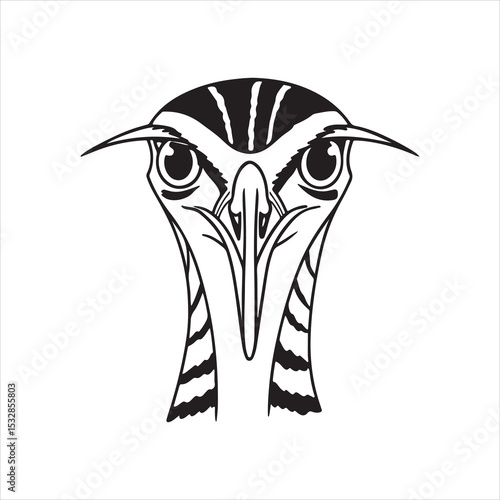Sunbittern Bird – Rare Wing-Spreading Species of the Tropics with Striking Plumage
