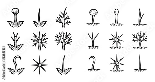 Leaf Trichomes Sketch Grid