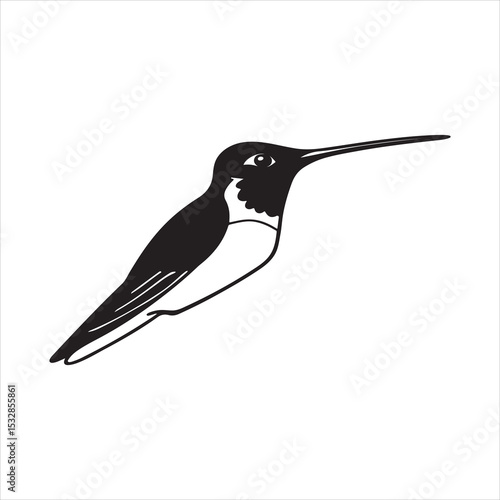 Swallow-tailed Hummingbird – Iridescent Tropical Bird of the Neotropical Rainforest