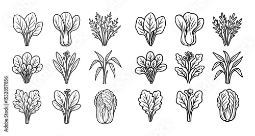 Asian Greens Icons