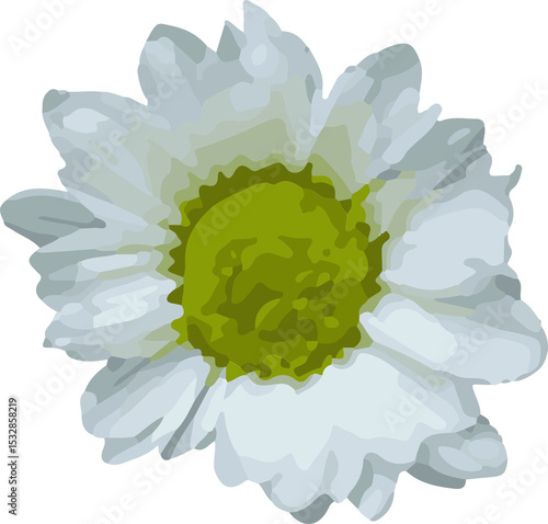 Fototapeta Naklejka Na Ścianę i Meble -  Vector white daisy-like flower is being shown on transparent background with petals, green center