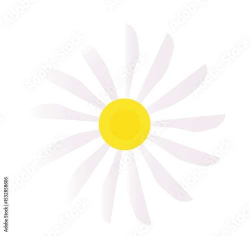 Fototapeta Naklejka Na Ścianę i Meble -  Flat vector daisy is showing white petals radiating around yellow center on transparent background