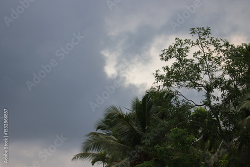 Wallpaper Mural clouds and trees Torontodigital.ca