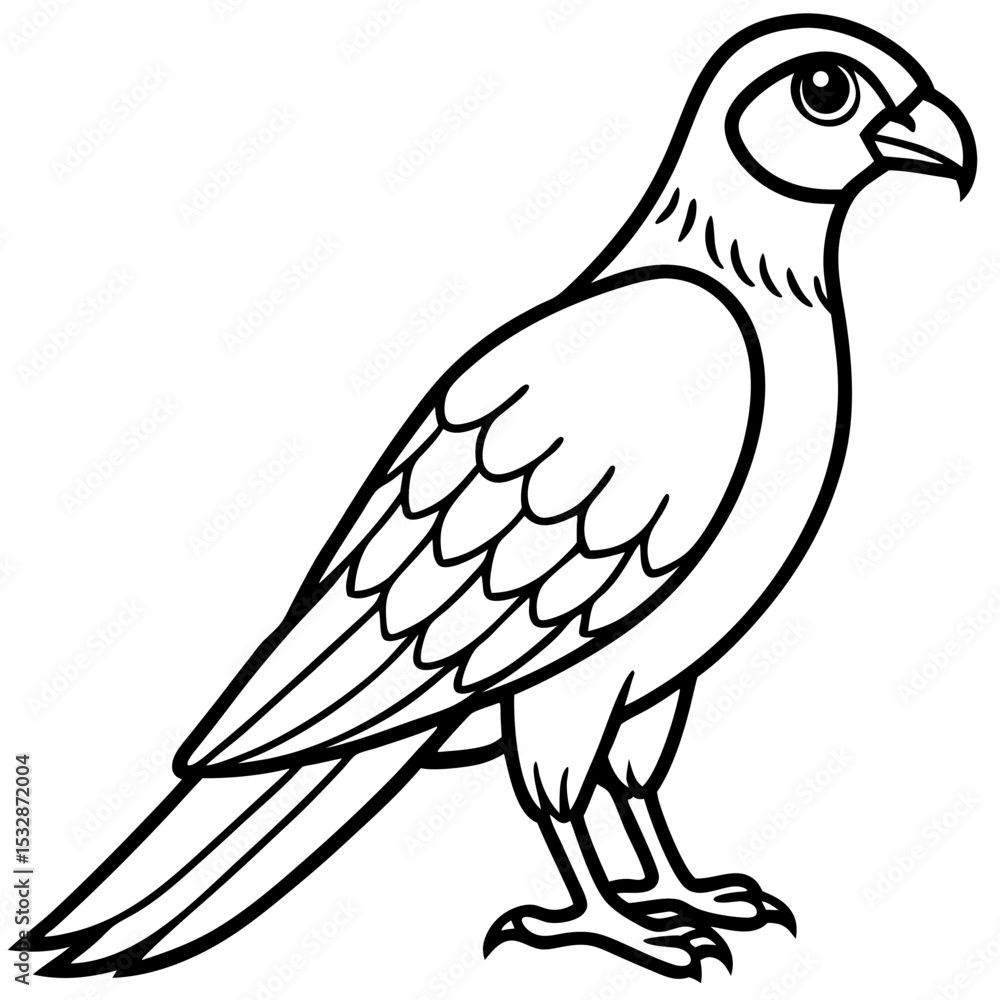 Fototapeta premium Sparrowhawk Minimalist Line Art on White