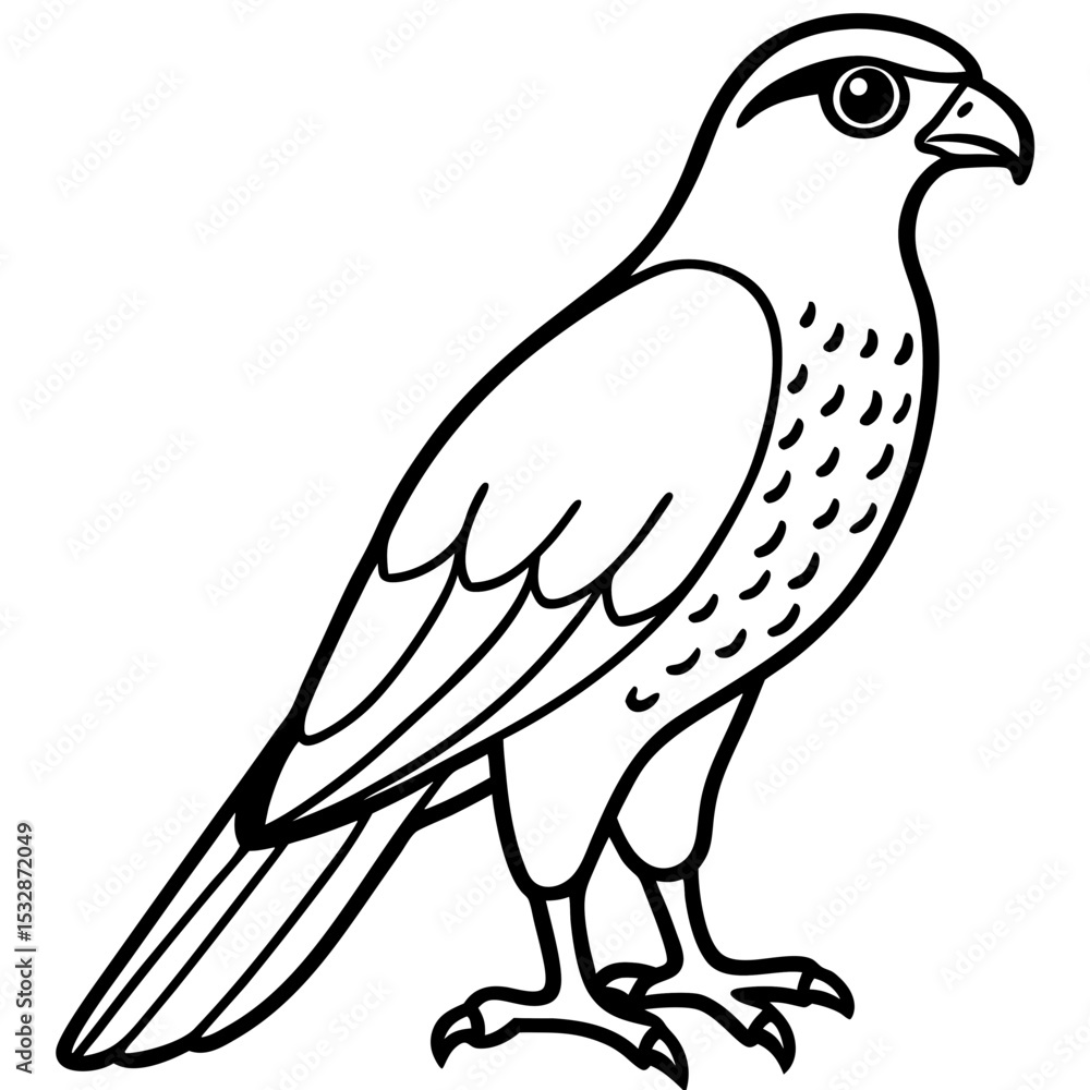 Fototapeta premium Sparrowhawk Minimalist Line Art on White