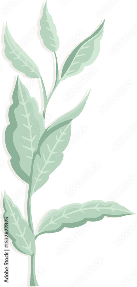 Naklejka premium Stylized branch floating in flat design, showing slender veined leaves on transparent background