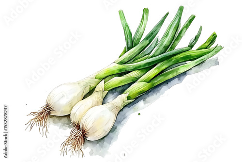 Watercolor green onions with transparent background vactor illustration for food design