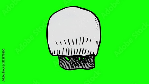 Hand drawn skull turning isolated on green background 2d loopable animation