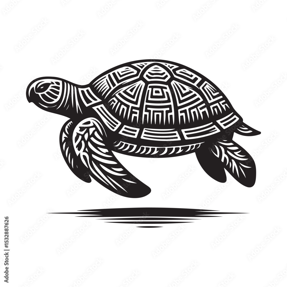 Fototapeta premium turtle vector illustration