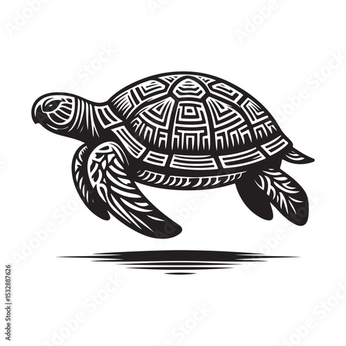 turtle vector illustration