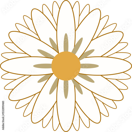 Fototapeta Naklejka Na Ścianę i Meble -  White daisy is being shown in flat vector, gold outlines and yellow center, transparent background
