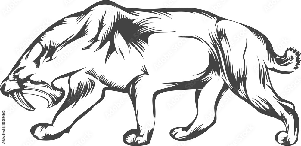 Fototapeta premium Showing stylized line art of stalking sabertooth-like feline with hatching, transparent background