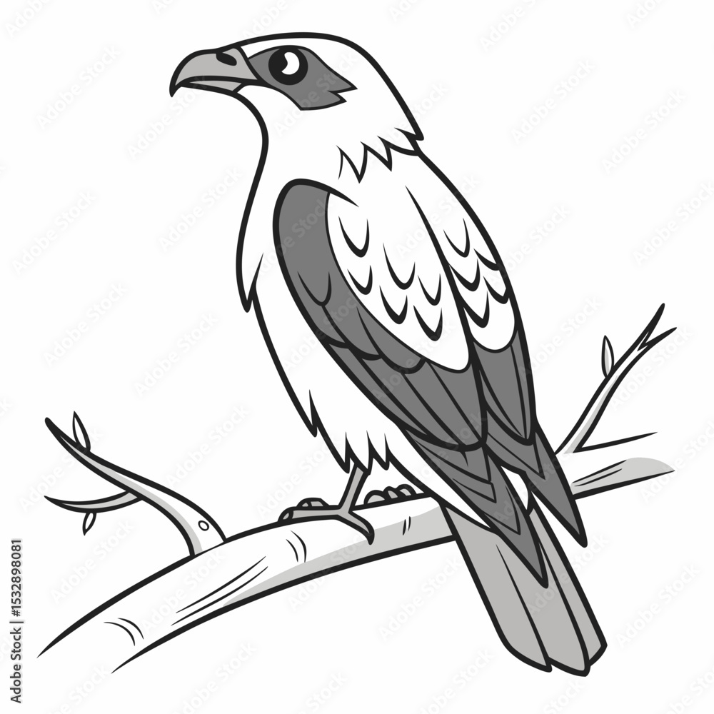Majestic grey bird perched on branch wildlife illustration Majestic grey bird perched on branch wildlife illustration
