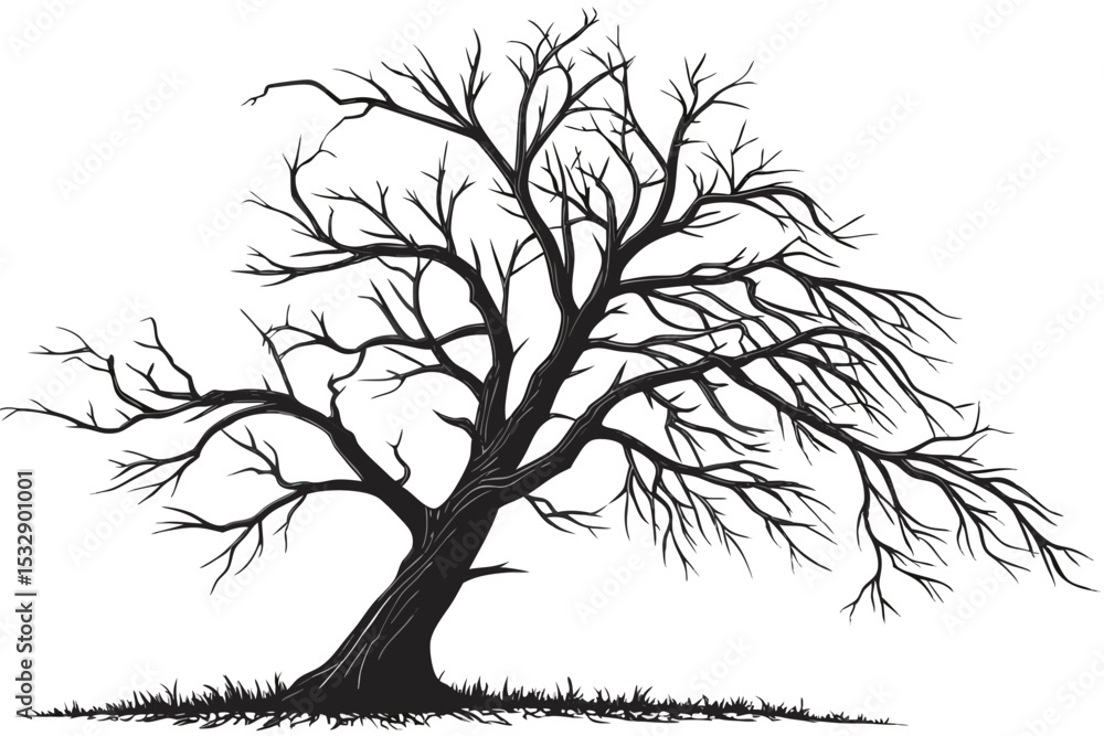 Fototapeta premium Silhouette of a bare leaning tree