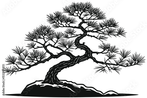 Black and white bonsai pine tree illustration