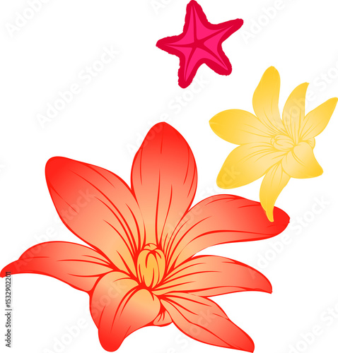 Fototapeta Naklejka Na Ścianę i Meble -  Flat design showing gradient lily, yellow bloom and magenta star floating on transparent background
