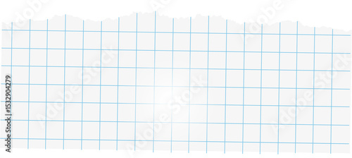 Torn graph paper fragment is showing flat design with blue grid lines and transparent background