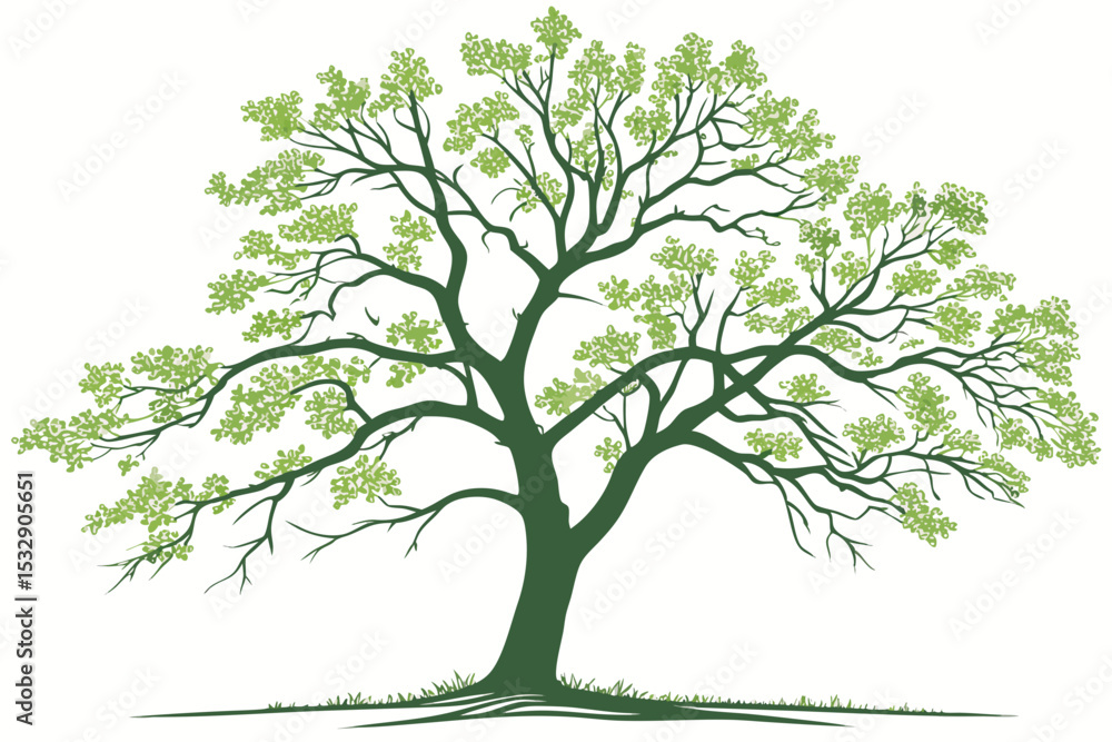 Fototapeta premium Green leafy tree illustration on white background