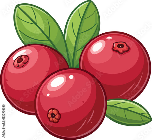 vector illustration of ripe cherry