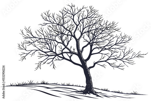 Bare winter tree on a snowy hillside illustration