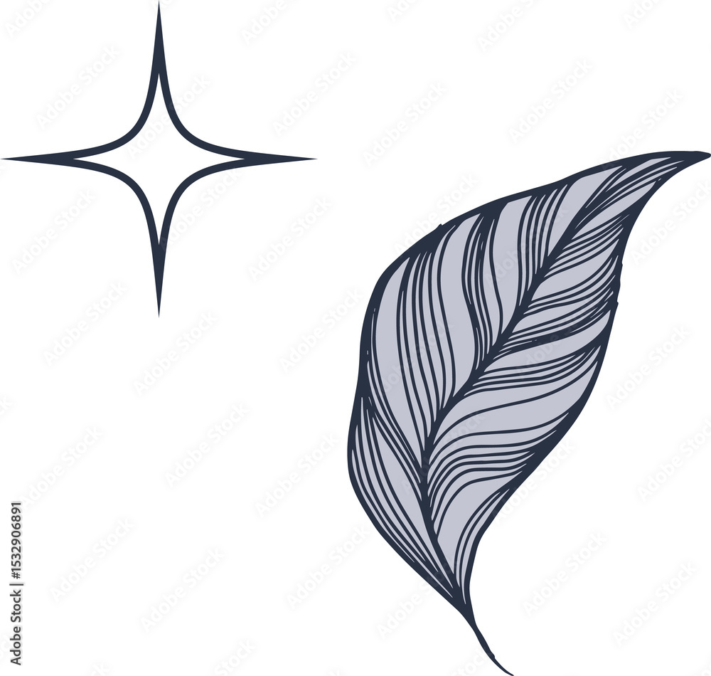 Naklejka premium Stylized leaf line-art illustration is showing flowing veins with starburst, transparent background