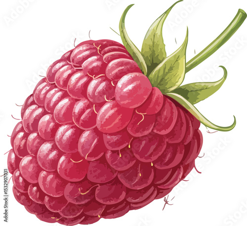raspberry with leaves