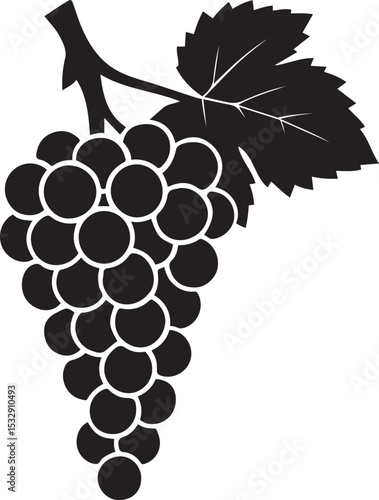 Grapes and leaves silhouette vector style, Black and white grapevine artwork
