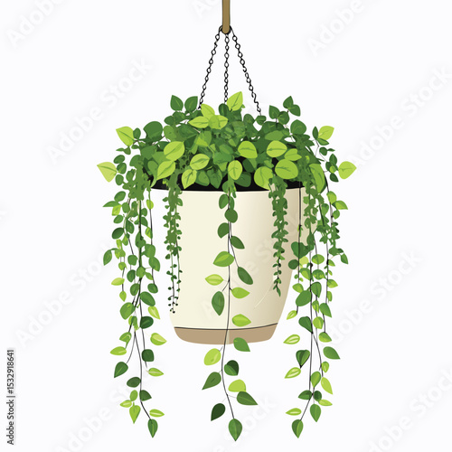 minimal fig plant indoor hanging decor