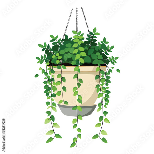 hanging creeping fig pot design