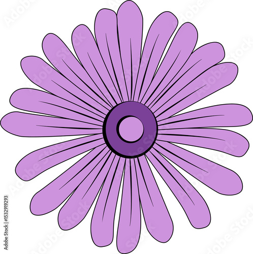 Fototapeta Naklejka Na Ścianę i Meble -  Flat purple daisy flower is featuring two-tone center and lilac petals on transparent backdrop