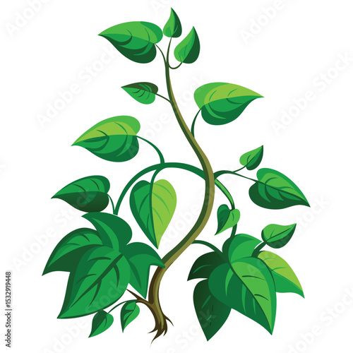 hanging flower bushes white backdrop