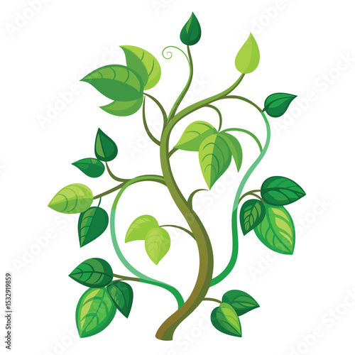 blooming bushes hanging white background