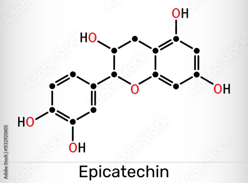 Epicatechin molecule. Flavanol antioxidant found in chocolate and tea