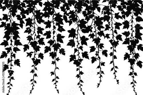 lush greenery with ivy vines