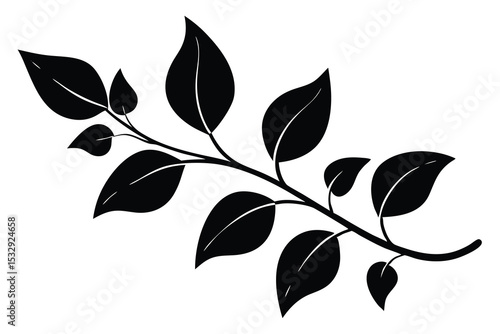 white background with leaf vines