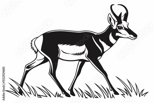 pronghorn sihouette black vector