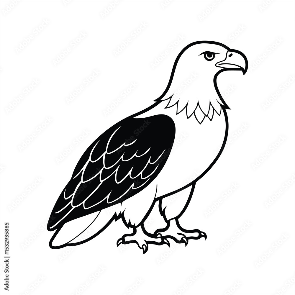 Fototapeta premium Eagle. Vector illustration of an eagle on a white background.