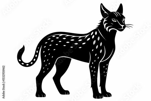фотографія serval sihouette black vector